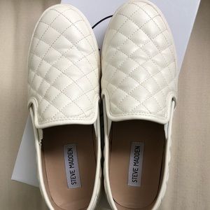 Steve Madden Ecentrcq slip ons